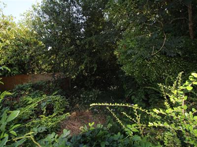 Picture 15